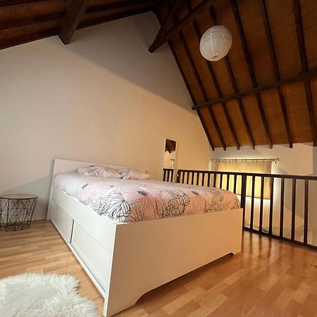 Le Mortier D'Or Duplex Hyper Centre Ville Troyes Ngoại thất bức ảnh