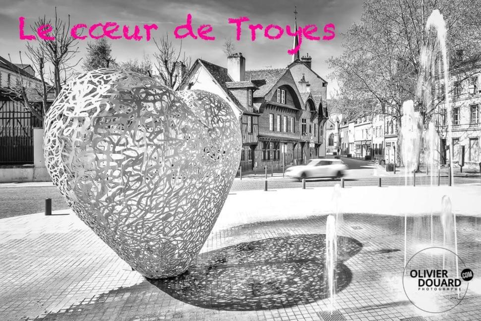 Le Mortier D'Or Duplex Hyper Centre Ville Troyes Ngoại thất bức ảnh