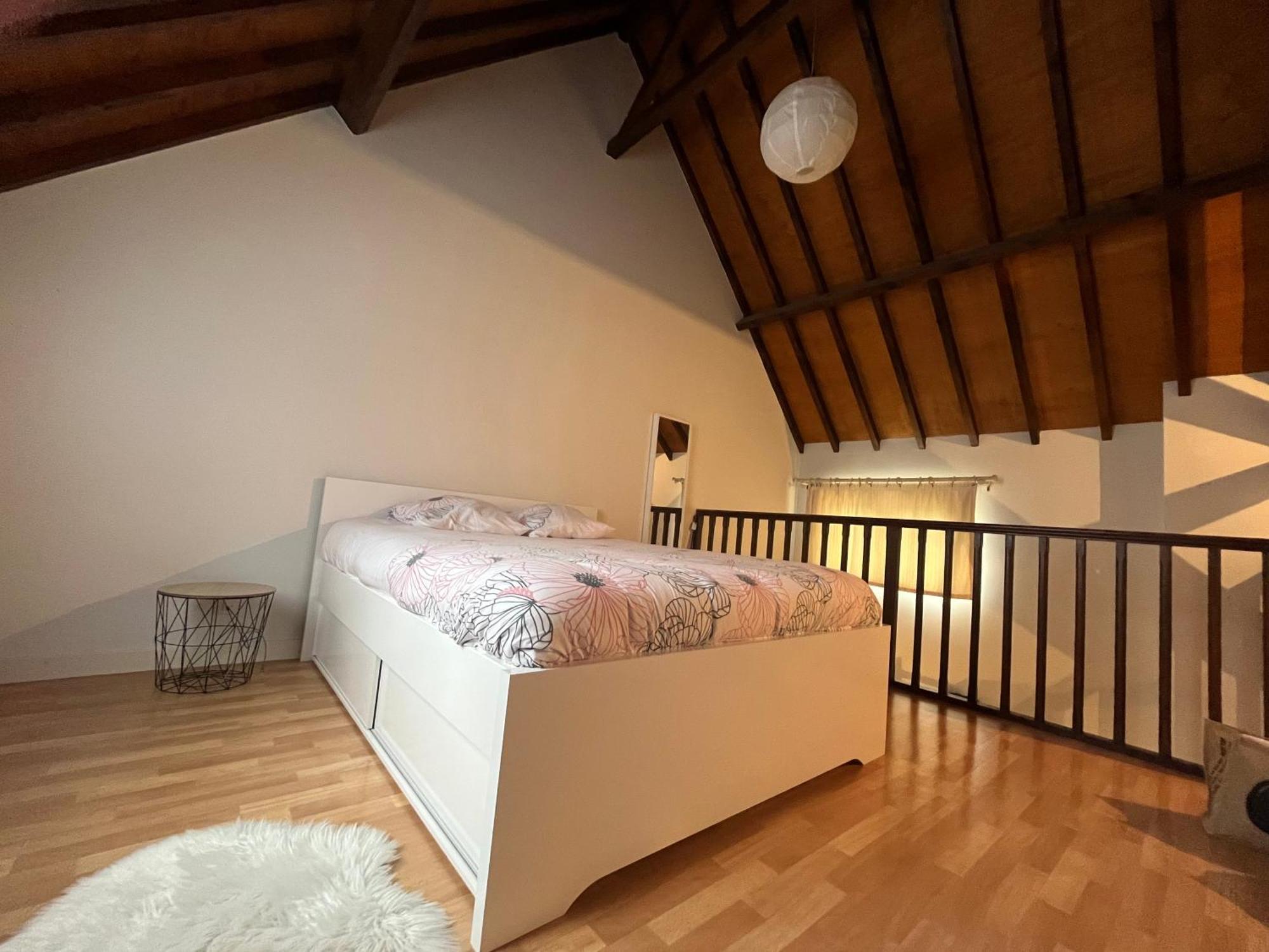 Le Mortier D'Or Duplex Hyper Centre Ville Troyes Ngoại thất bức ảnh